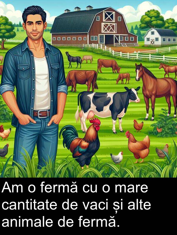 vaci: Am o fermă cu o mare cantitate de vaci și alte animale de fermă.