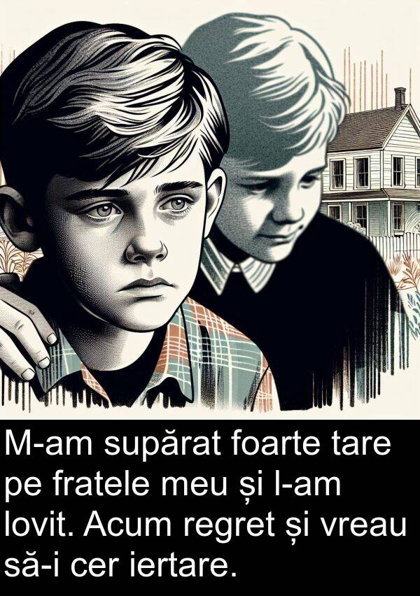 iertare: M-am supărat foarte tare pe fratele meu și l-am lovit. Acum regret și vreau să-i cer iertare.