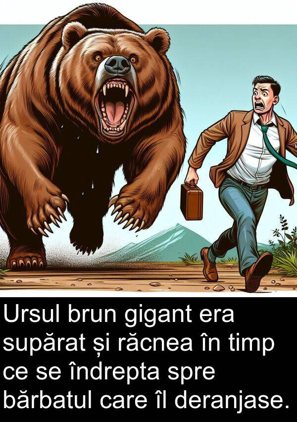 bărbatul: Ursul brun gigant era supărat și răcnea în timp ce se îndrepta spre bărbatul care îl deranjase.