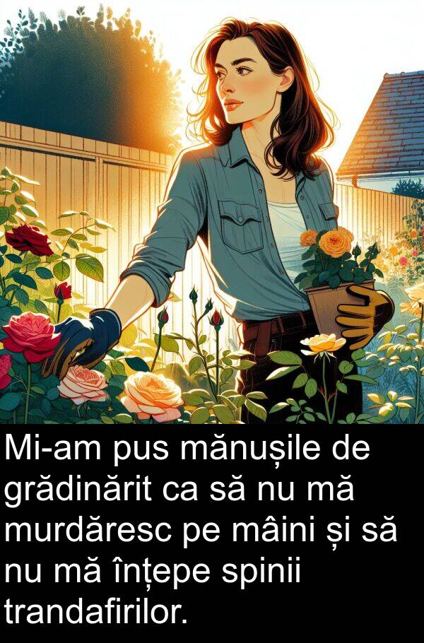 mâini: Mi-am pus mănușile de grădinărit ca să nu mă murdăresc pe mâini și să nu mă înțepe spinii trandafirilor.