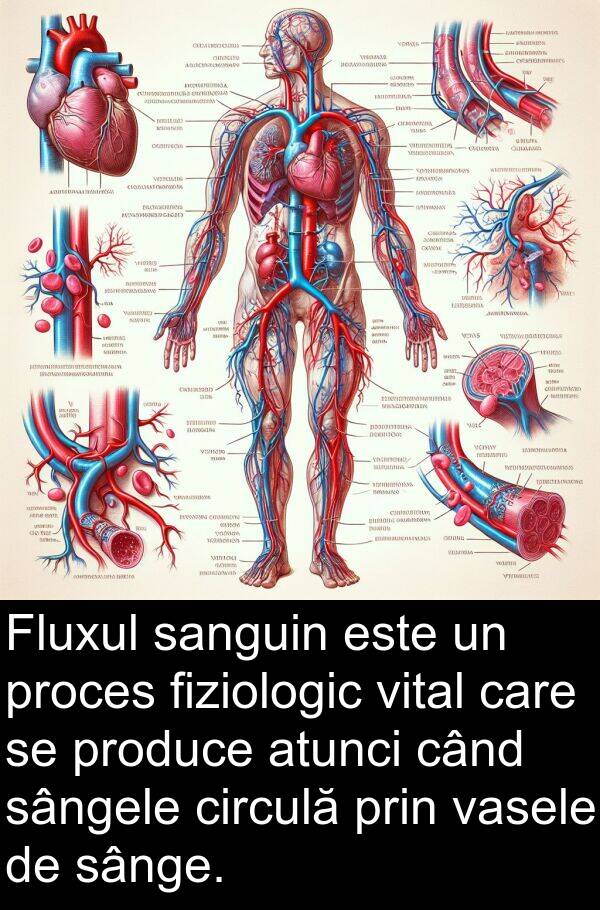 sânge: Fluxul sanguin este un proces fiziologic vital care se produce atunci când sângele circulă prin vasele de sânge.