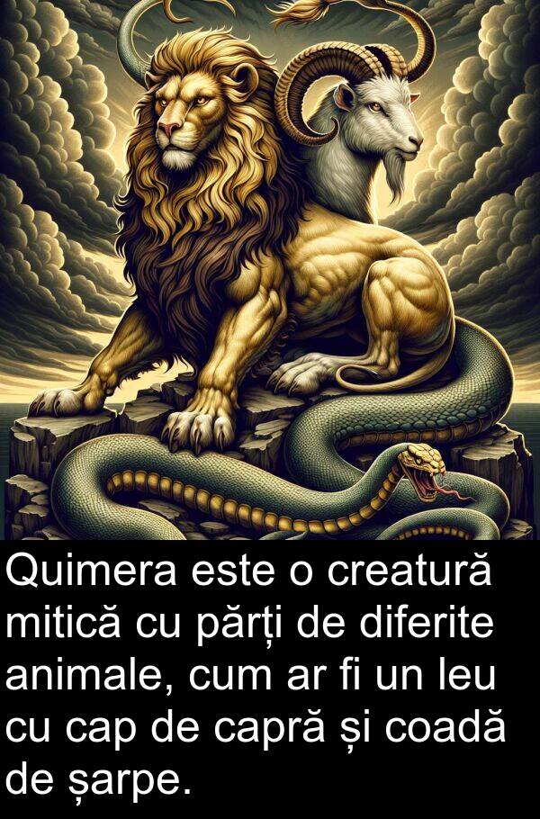 șarpe: Quimera este o creatură mitică cu părți de diferite animale, cum ar fi un leu cu cap de capră și coadă de șarpe.