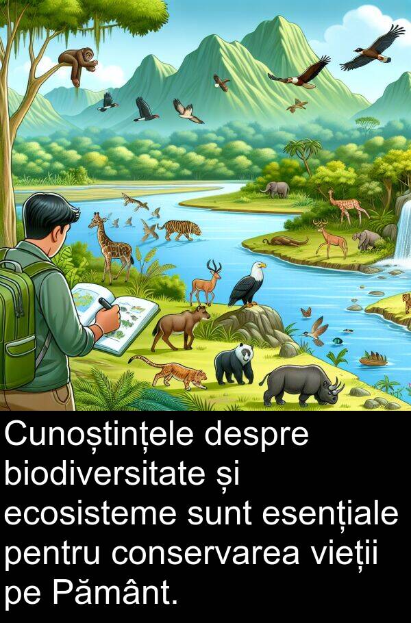 ecosisteme: Cunoștințele despre biodiversitate și ecosisteme sunt esențiale pentru conservarea vieții pe Pământ.