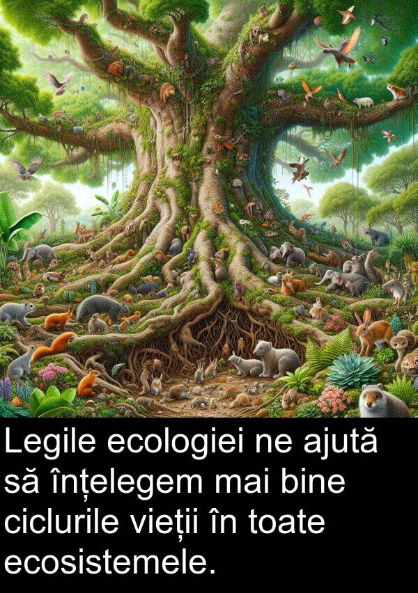 ecosistemele: Legile ecologiei ne ajută să înțelegem mai bine ciclurile vieții în toate ecosistemele.