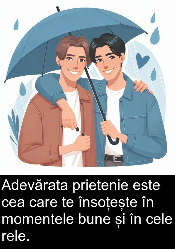 momentele: Adevărata prietenie este cea care te însoțește în momentele bune și în cele rele.