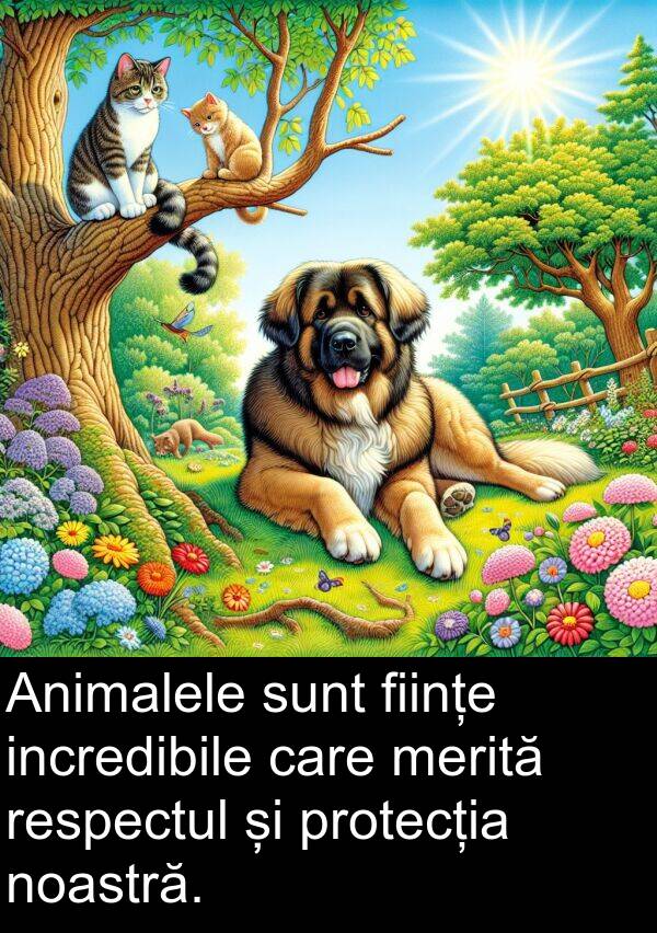 incredibile: Animalele sunt ființe incredibile care merită respectul și protecția noastră.