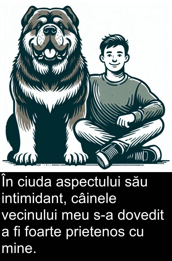 vecinului: În ciuda aspectului său intimidant, câinele vecinului meu s-a dovedit a fi foarte prietenos cu mine.