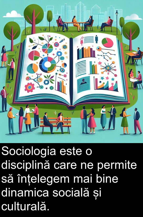 dinamica: Sociologia este o disciplină care ne permite să înțelegem mai bine dinamica socială și culturală.