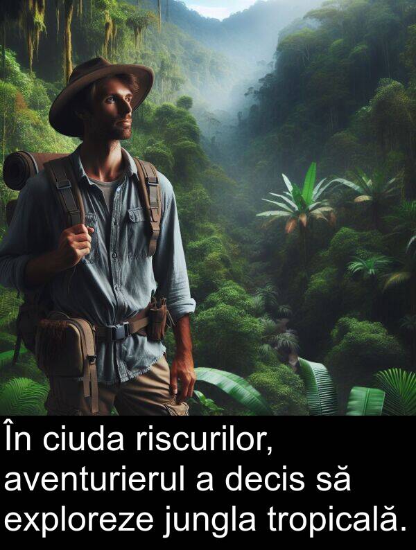 aventurierul: În ciuda riscurilor, aventurierul a decis să exploreze jungla tropicală.