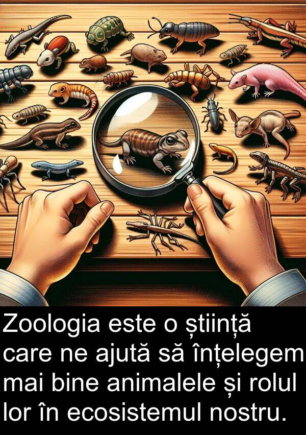 ecosistemul: Zoologia este o știință care ne ajută să înțelegem mai bine animalele și rolul lor în ecosistemul nostru.