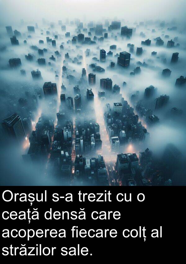 străzilor: Orașul s-a trezit cu o ceață densă care acoperea fiecare colț al străzilor sale.