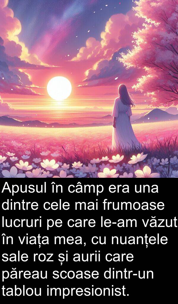 tablou: Apusul în câmp era una dintre cele mai frumoase lucruri pe care le-am văzut în viața mea, cu nuanțele sale roz și aurii care păreau scoase dintr-un tablou impresionist.