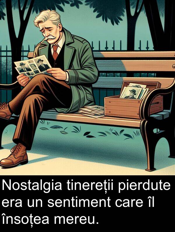 sentiment: Nostalgia tinereții pierdute era un sentiment care îl însoțea mereu.