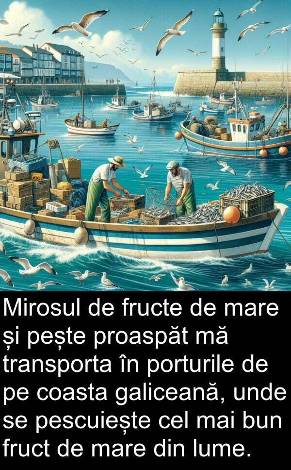 unde: Mirosul de fructe de mare și pește proaspăt mă transporta în porturile de pe coasta galiceană, unde se pescuiește cel mai bun fruct de mare din lume.