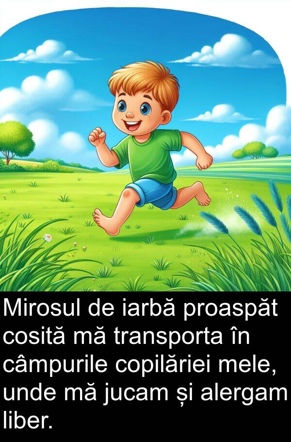 iarbă: Mirosul de iarbă proaspăt cosită mă transporta în câmpurile copilăriei mele, unde mă jucam și alergam liber.