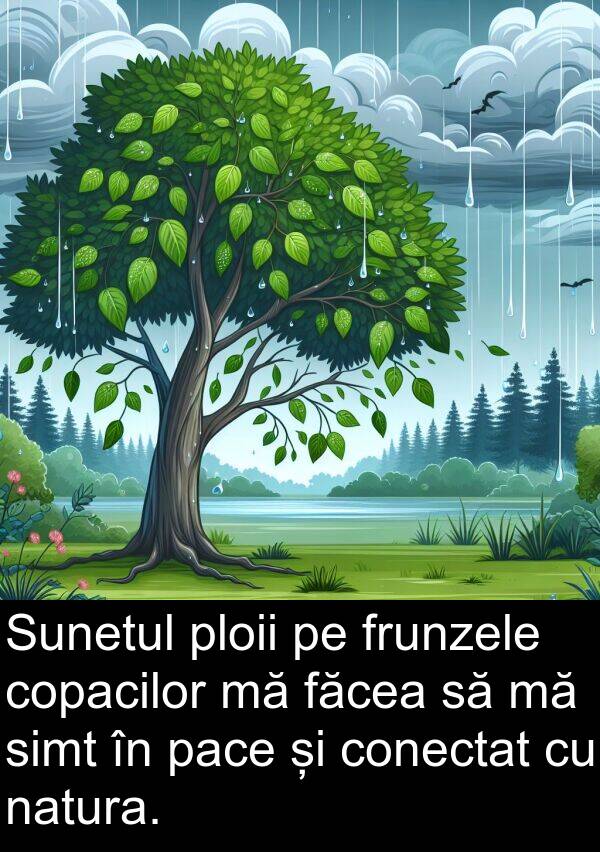 pace: Sunetul ploii pe frunzele copacilor mă făcea să mă simt în pace și conectat cu natura.