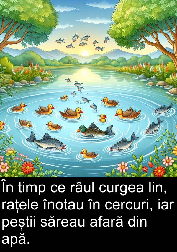 iar: În timp ce râul curgea lin, rațele înotau în cercuri, iar peștii săreau afară din apă.