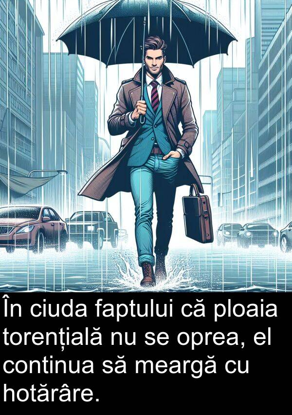 ploaia: În ciuda faptului că ploaia torențială nu se oprea, el continua să meargă cu hotărâre.