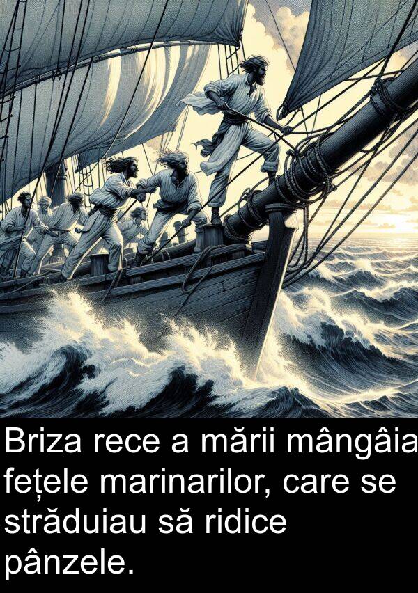 pânzele: Briza rece a mării mângâia fețele marinarilor, care se străduiau să ridice pânzele.