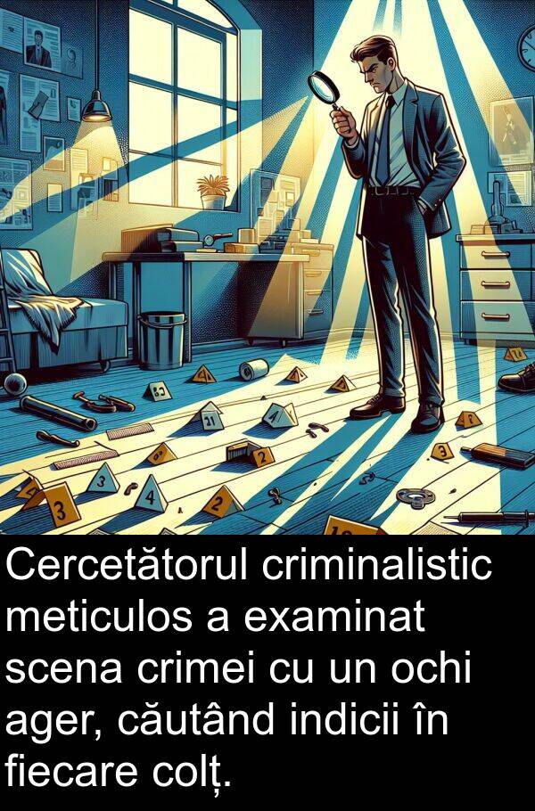 meticulos: Cercetătorul criminalistic meticulos a examinat scena crimei cu un ochi ager, căutând indicii în fiecare colț.