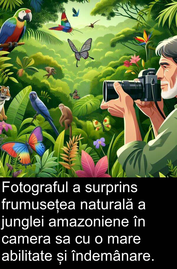 naturală: Fotograful a surprins frumusețea naturală a junglei amazoniene în camera sa cu o mare abilitate și îndemânare.