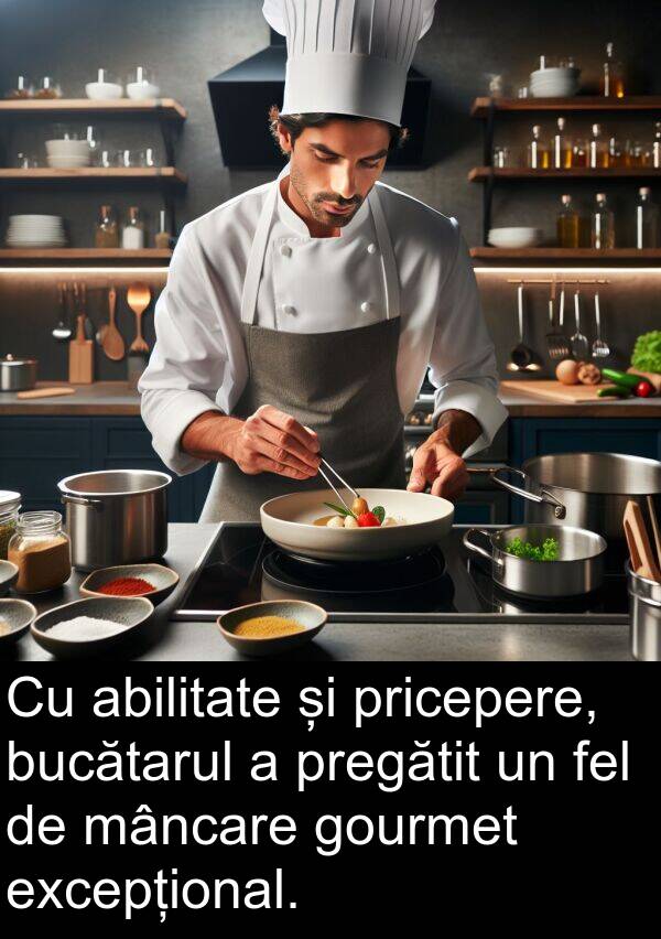 abilitate: Cu abilitate și pricepere, bucătarul a pregătit un fel de mâncare gourmet excepțional.