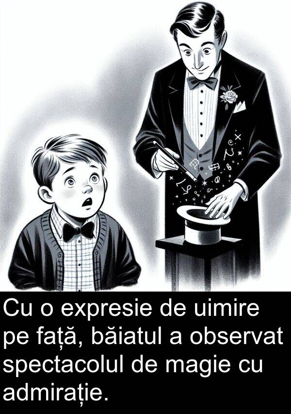 magie: Cu o expresie de uimire pe față, băiatul a observat spectacolul de magie cu admirație.