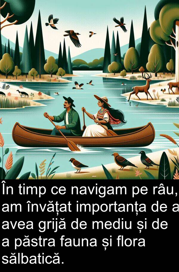 sălbatică: În timp ce navigam pe râu, am învățat importanța de a avea grijă de mediu și de a păstra fauna și flora sălbatică.