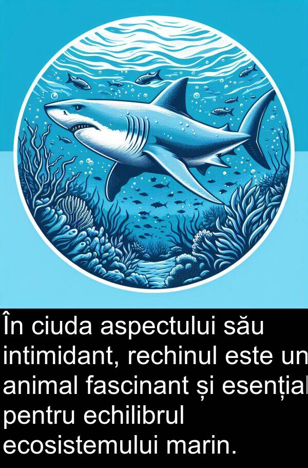 ecosistemului: În ciuda aspectului său intimidant, rechinul este un animal fascinant și esențial pentru echilibrul ecosistemului marin.