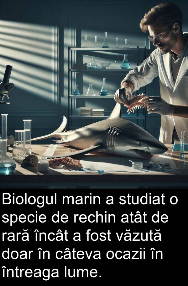 ocazii: Biologul marin a studiat o specie de rechin atât de rară încât a fost văzută doar în câteva ocazii în întreaga lume.