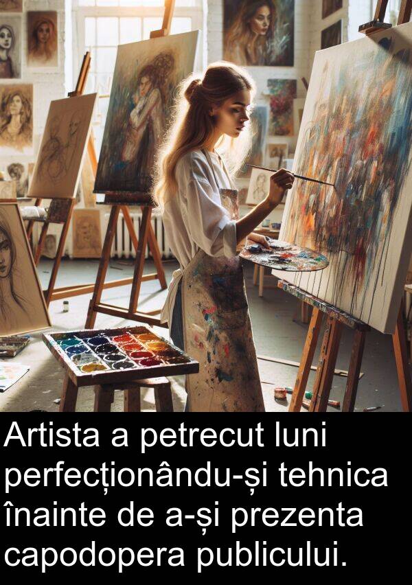 tehnica: Artista a petrecut luni perfecționându-și tehnica înainte de a-și prezenta capodopera publicului.