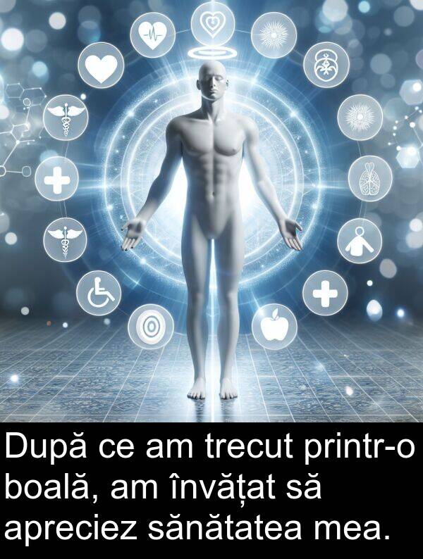 sănătatea: După ce am trecut printr-o boală, am învățat să apreciez sănătatea mea.