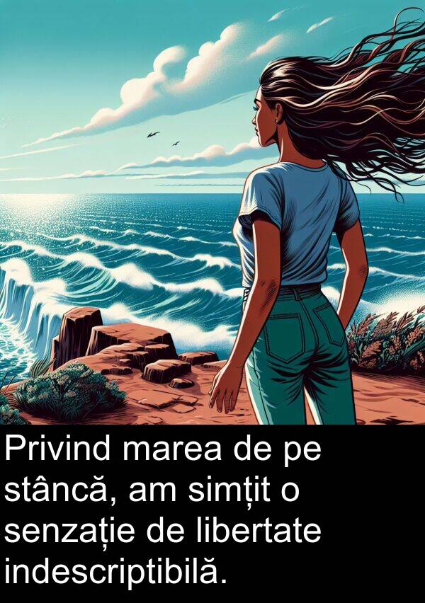 senzație: Privind marea de pe stâncă, am simțit o senzație de libertate indescriptibilă.