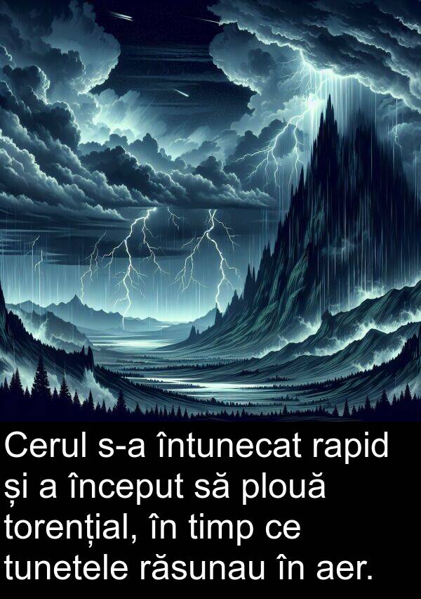 rapid: Cerul s-a întunecat rapid și a început să plouă torențial, în timp ce tunetele răsunau în aer.