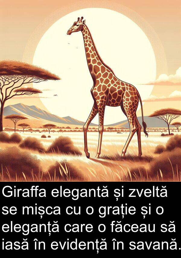 iasă: Giraffa elegantă și zveltă se mișca cu o grație și o eleganță care o făceau să iasă în evidență în savană.