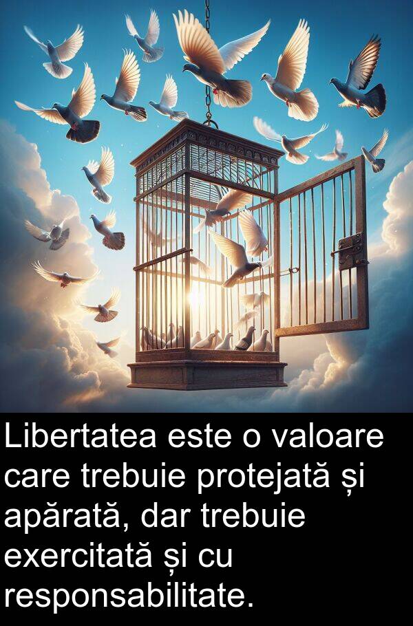 valoare: Libertatea este o valoare care trebuie protejată și apărată, dar trebuie exercitată și cu responsabilitate.