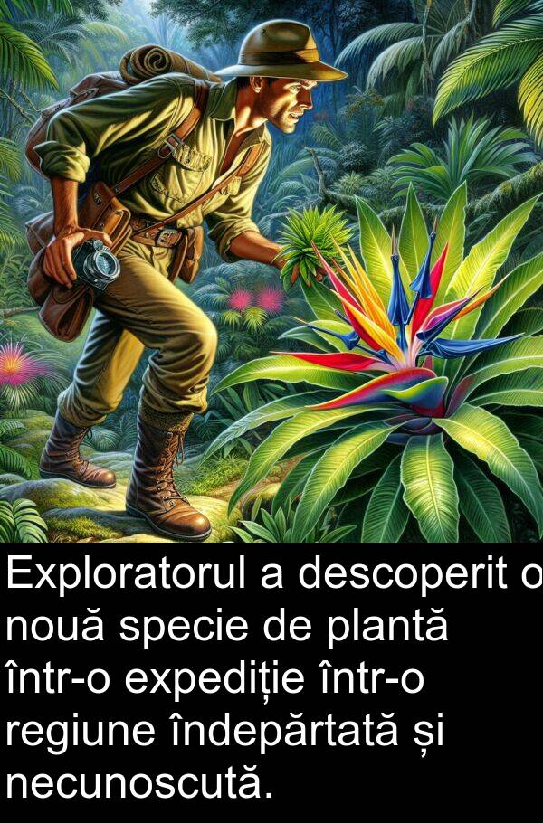 necunoscută: Exploratorul a descoperit o nouă specie de plantă într-o expediție într-o regiune îndepărtată și necunoscută.