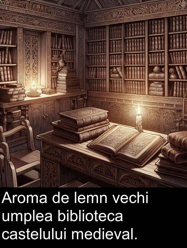 umplea: Aroma de lemn vechi umplea biblioteca castelului medieval.