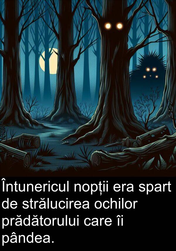 pândea: Întunericul nopții era spart de strălucirea ochilor prădătorului care îi pândea.