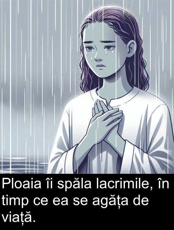 lacrimile: Ploaia îi spăla lacrimile, în timp ce ea se agăța de viață.