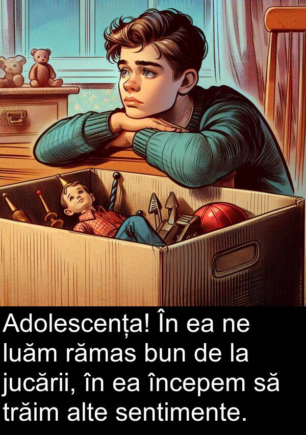 jucării: Adolescența! În ea ne luăm rămas bun de la jucării, în ea începem să trăim alte sentimente.