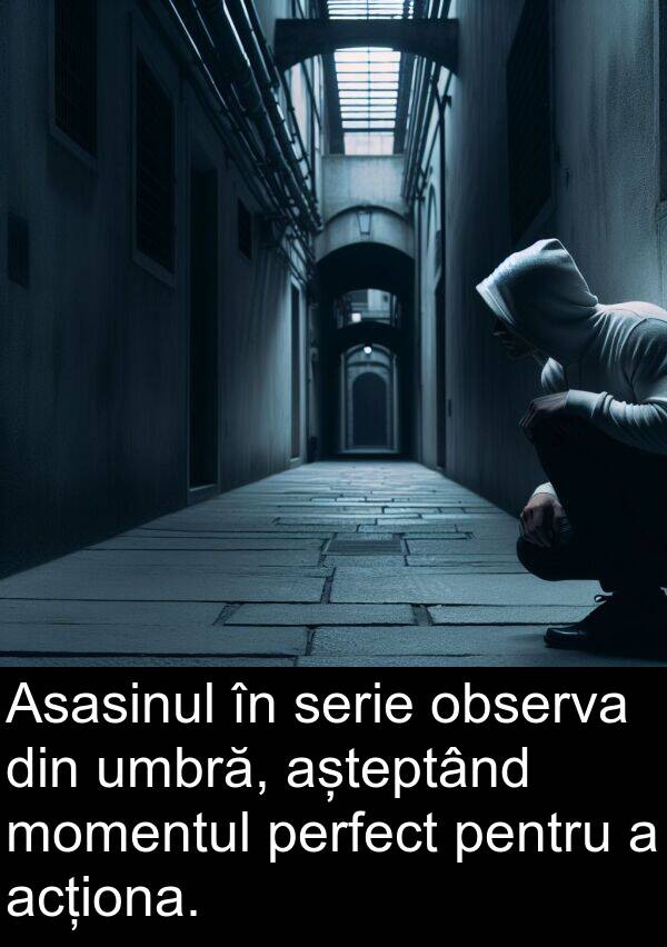 observa: Asasinul în serie observa din umbră, așteptând momentul perfect pentru a acționa.