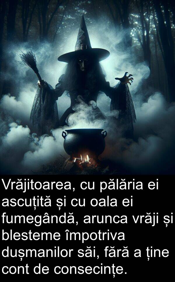 săi: Vrăjitoarea, cu pălăria ei ascuțită și cu oala ei fumegândă, arunca vrăji și blesteme împotriva dușmanilor săi, fără a ține cont de consecințe.