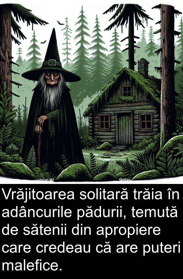 pădurii: Vrăjitoarea solitară trăia în adâncurile pădurii, temută de sătenii din apropiere care credeau că are puteri malefice.