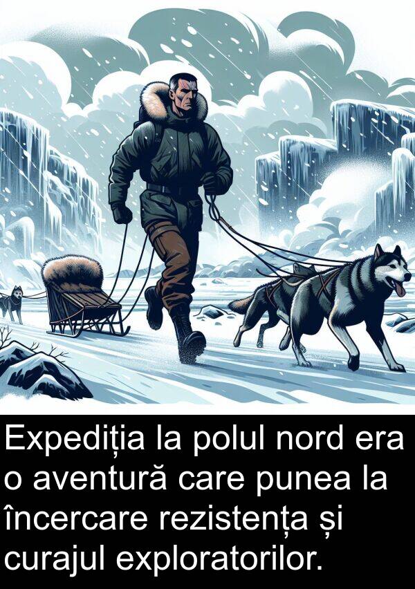 nord: Expediția la polul nord era o aventură care punea la încercare rezistența și curajul exploratorilor.