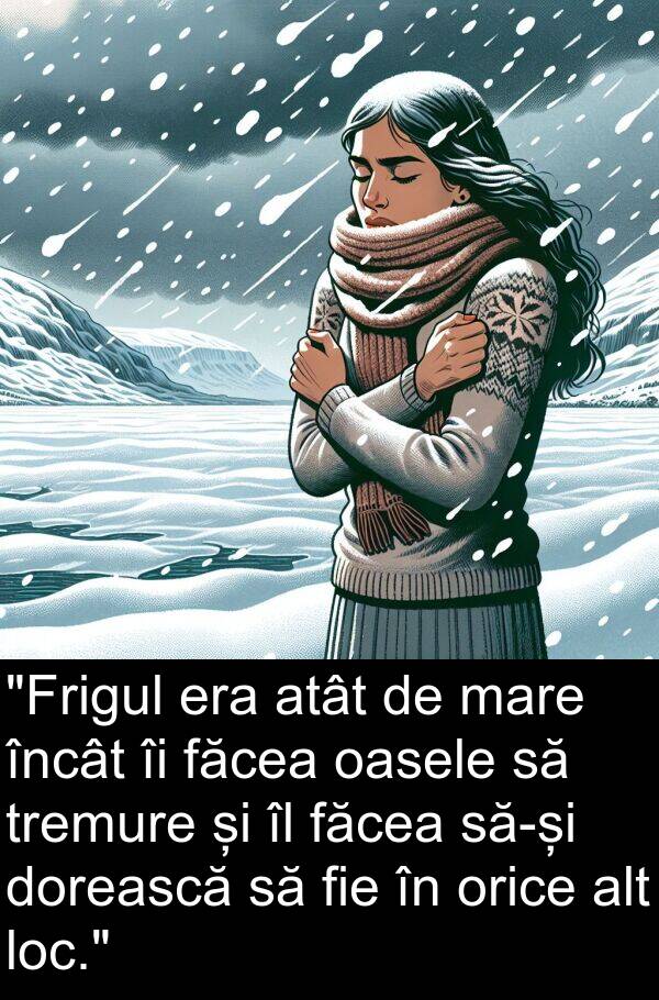 oasele: "Frigul era atât de mare încât îi făcea oasele să tremure și îl făcea să-și dorească să fie în orice alt loc."