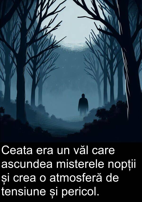 văl: Ceata era un văl care ascundea misterele nopții și crea o atmosferă de tensiune și pericol.