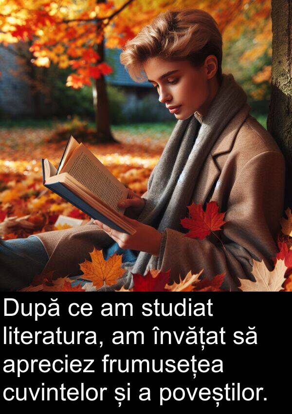 studiat: După ce am studiat literatura, am învățat să apreciez frumusețea cuvintelor și a poveștilor.