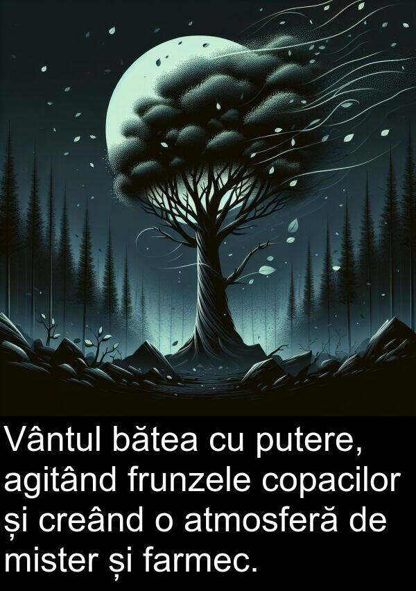 bătea: Vântul bătea cu putere, agitând frunzele copacilor și creând o atmosferă de mister și farmec.