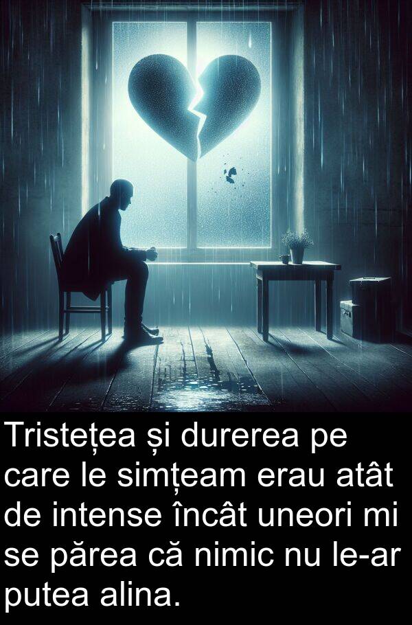 uneori: Tristețea și durerea pe care le simțeam erau atât de intense încât uneori mi se părea că nimic nu le-ar putea alina.